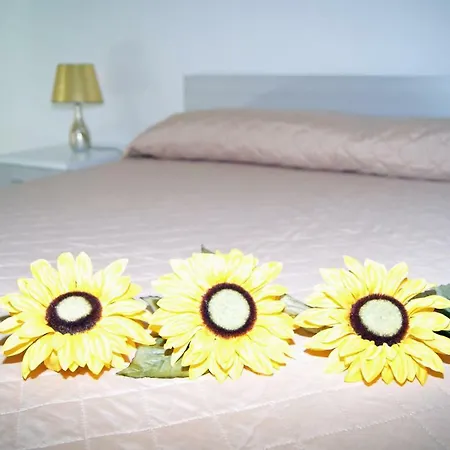 Isole Dello Stagnone Bed & Breakfast 3*
